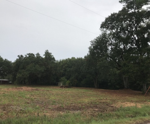 Currie Drive, Sulphur, Calcasieu, Louisiana, United States 70665, ,Vacant Land,For Sale,Currie Drive,1070